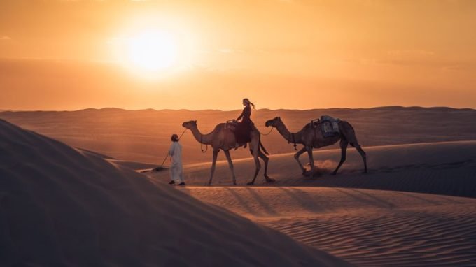 camel sunrise